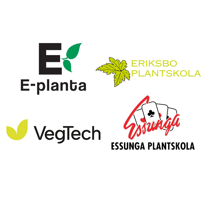 E-planta Ekonomisk Förening, Eriksbo Plantskola, Vegtech & Essunga Plantskola